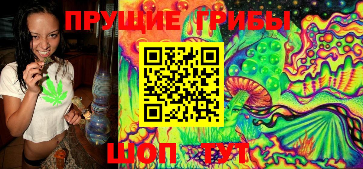 Галлюциногенные грибы Psilocybe  Вход с VPN  Киреевск 